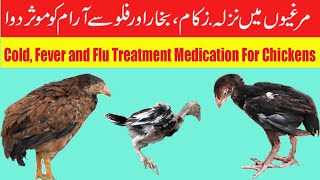 Cold Fever and Flu Treatment Medication For Chickens  NOMI K PARROTS [upl. by Camarata]