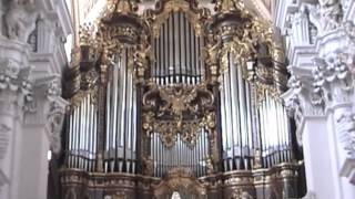 The Largest Cathedral Organ [upl. by Eilsehc]