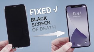 How to Fix iPhone Black Screen of Death 3 Ways to Save Its Life [upl. by Pricilla]