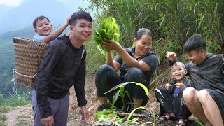 Full video 90 days grow vegetables harvest pumpkins and papayas go to the market sell [upl. by Nynnahs]