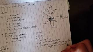 Granulomatosis with Polyangiitis Mnemonic [upl. by Turoff]