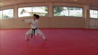 Tekki Shodan  Karate Training Sonia Fiuza [upl. by Neral]