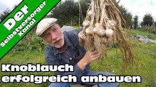 Knoblauch erfolgreich anbauen So mache ich es [upl. by Vivianna]