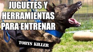 Los mejores juguetes para entrenar a tu perro en obediencia y protección [upl. by Nelda168]