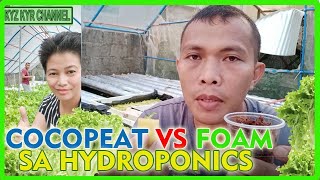 MGA RASON BAKIT DI AKO GUMAMIT NG COCOPEAT SA LETTUCE HYDROPONICS [upl. by Ylloj631]