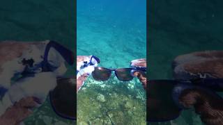 Ocean cleanup while freedivingFound sunglasses while spearfishing in Canary Islands Pescasubmarina [upl. by Arorua]