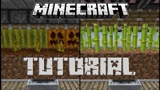 3 Farmen mit Observer  Minecraft Tutorial [upl. by Billy128]