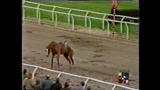 Scary Incident at Southwell Racecourse [upl. by Glass]