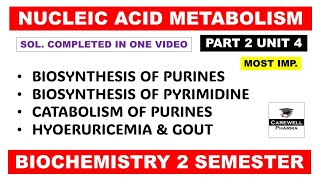 Unit 4 Biosynthesis of Purine and Pyrimidine nucleotides  Gout  Part 2  Biochemistry 2nd sem [upl. by Auqinahs]