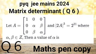 Matrix class 12 pyq jee mains  determinant class 12  pyq jee mains 2024 06 [upl. by Dnalloh]