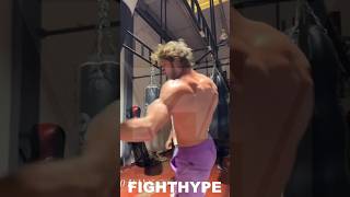 LOGAN PAUL NEW quotFINAL LEVELquot DILLON DANIS KNOCKOUT COMBO JACKED amp READY FOR WAR [upl. by Adhamh]