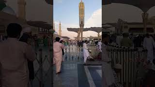 Madina shariff plz like and subscribe shortsfeed [upl. by Xeno749]