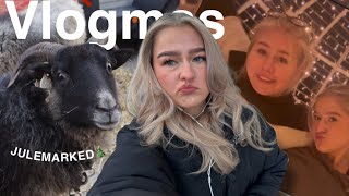 Vlogmas dag 2🎁 julemarked og julekaker midt på natta🌟 [upl. by Pincas]