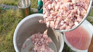 CHICKEN FRY CURRY MAKING FOR 500 NUMBERS  100KGS CHICKEN RECIPE  PARTY RECIPES street food [upl. by Vaughn110]