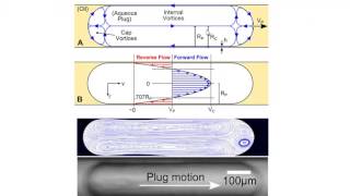 Multiphase CFD for Droplet Based Microfluidics [upl. by Luce]