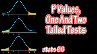 One Tailed And Two Tailed Hypothesis Tests  P Value Hypothesis Testing Explained [upl. by Sulihpoeht]