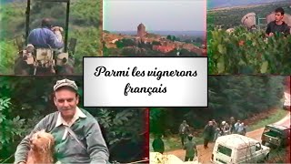 Parmi les vignerons français  Torgny Schunnesson [upl. by Hayalat]