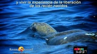 RIVIERA NAYARIT TV SPOT [upl. by Yanej]