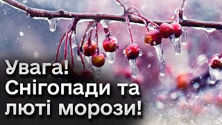 🌨️❄️ Україну засипле снігом Тріщатимуть морози Прогноз погоди на січень [upl. by Akima49]