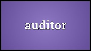 Auditor Meaning [upl. by Nnadroj]