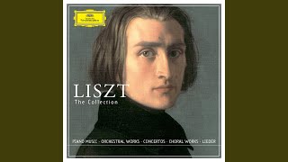 Liszt 6 Consolations S 172 No 3 in DFlat Major Lento placido [upl. by Eioj]