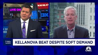 Kellanova CEO Steve Cahillane Our focus is on affordability [upl. by Llatsyrc]