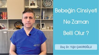 13 haftalık gebelikte bebek cinsiyeti belli olur mu Erkek ve kız bebek görüntüsü farklı mı olur [upl. by Gotthelf]