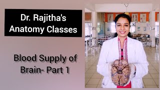 Blood Supply of Brain Part1 Circle of Willis Circulus Arteriosus of Brain by Dr Rajitha Vanga [upl. by Harl]