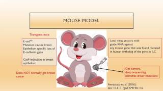 CRISPRCas9 Talk with Dr Animesh Ray [upl. by Alikee]