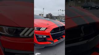 Shelby GT500 🏎️🚀Rolling Though Car Meet mustang fordmustang supercar cars drifting speed [upl. by Arbrab]