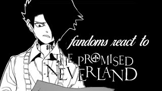 Fandoms React to Ray The promised Neverland WIP [upl. by Orr]