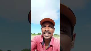 ତତେ ଡାକି ଡାକି🙏samalei bhajan singing sambalpuri sambalpurisong sambalpurigita shorts viral [upl. by Assirrak]