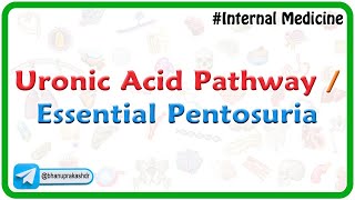 Uronic Acid Pathway  Essential Pentosuria  Medical Biochemistry by Dr G Bhanu Prakash [upl. by Akemaj265]