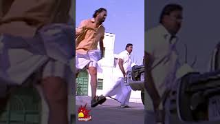 1 மாசம் எங்கயாவது போய்டுங்க shorts  Marudhamalai Movie Scene  Arjun  Vadivelu [upl. by Luelle658]