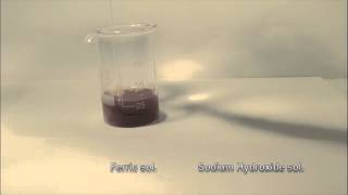 Reaction of Ferric Solution with Sodium Hydroxide solution [upl. by Anieral755]