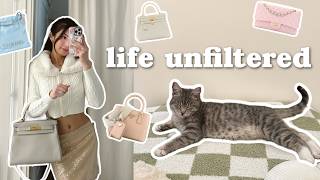 Life unfiltered  kitten updates🐱 amp my entire luxury handbag collection [upl. by Mourant]