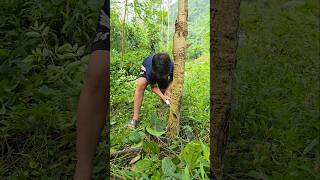 One small act of kindness 🌏 camping survival bushcraft outdoors funny bushcraftfamily [upl. by Allin]