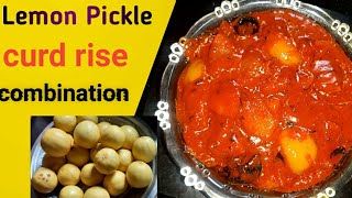 How to Make Lemon Pickle curd rise the best combination lemon pickle Mangamma kitchen me divya [upl. by Landsman]