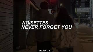 Noisettes  Never Forget You Tradução PTBR [upl. by Yhtrod]