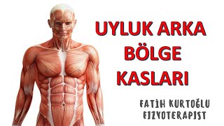 Uyluk Arka Bölge  KAS ANATOMİ si KONU ANLATIMI 13 [upl. by Harlamert413]