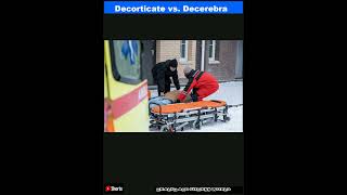 Decorticate vs Decerebrate Posturing Differences ExplainedShorts [upl. by Ardeth]