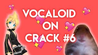 VOCALOID ON CRACK 6 [upl. by Yona]