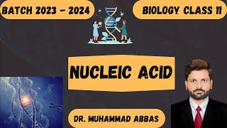 Nucleic Acid The Science Behind DNA [upl. by Neau606]