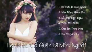 Liên Khúc Cố Quên Đi Một Người  Remix [upl. by Ashok]