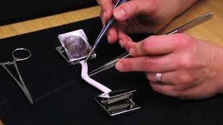 Endto End Anastomosis Tutorial  Henry Ford Health System [upl. by Steffie]