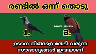 രണ്ടിൽ ഒന്ന് തൊടു നിങ്ങളെ തേടി എത്തുന്ന മഹാഭാഗ്യം ഇവയാണ്  jyothisham Malayalam thodukuri [upl. by Ihcalam]