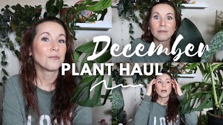 Houseplant HAUL Everything I Bought in December  Christmas Gifts 💚 🪴 [upl. by Ermanno]