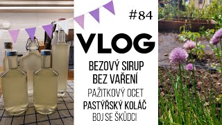 VLOG 84  bezový sirup pažitkový ocet pastýřský koláč 🥧 [upl. by Eniarol]