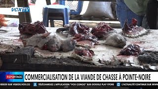 Commercialisation de la viande de chasse à Pointe Noire [upl. by Elsilrac]