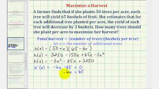 Ex Optimization  Maximized a Crop Yield Calculus Methods [upl. by Annanhoj]